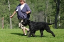 Utställning 2011_26
