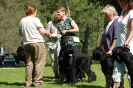 Utställning 2011_36